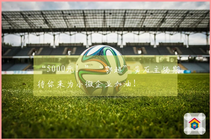 “5000元！”“鄂超”黄石主场期待你来为小微企业加油！