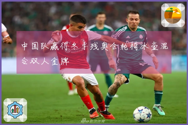 中国队赢得冬季残奥会轮椅冰壶混合双人金牌