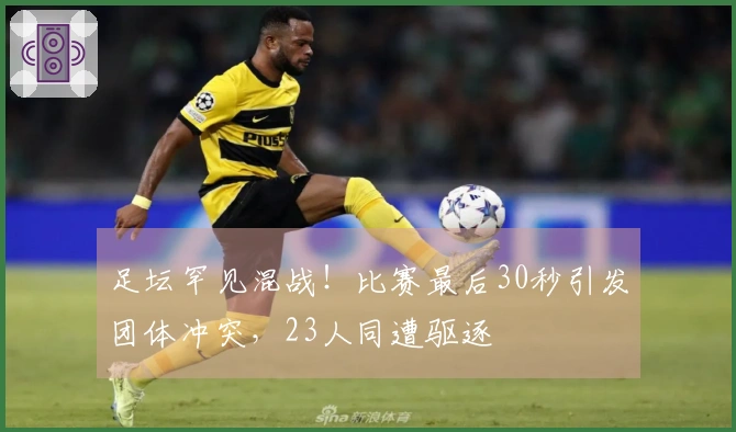 足坛罕见混战！比赛最后30秒引发团体冲突，23人同遭驱逐