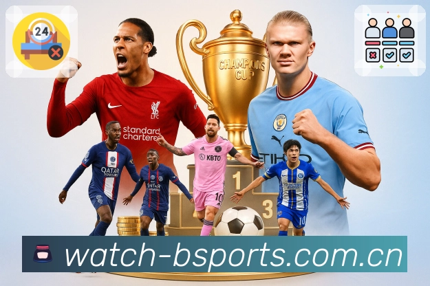 清晰度策略 - 省流与高清一键切换